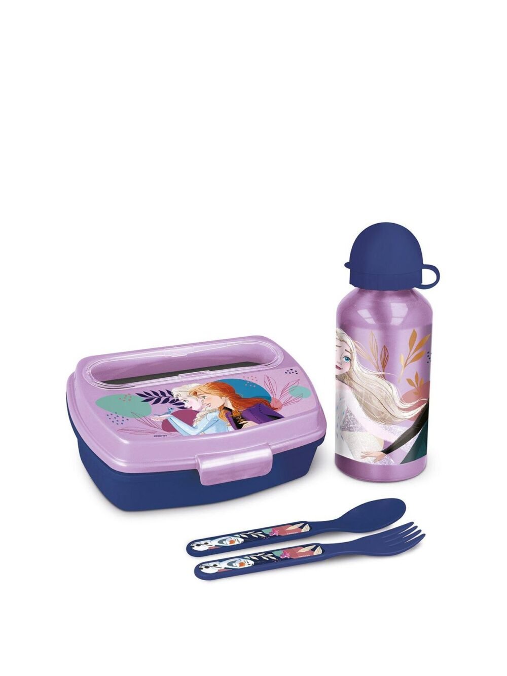 Ensemble Lunch Box + Gourde Frozen